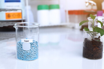 Copper fertilizer, Experimenting with chemical fertilizers for agriculture