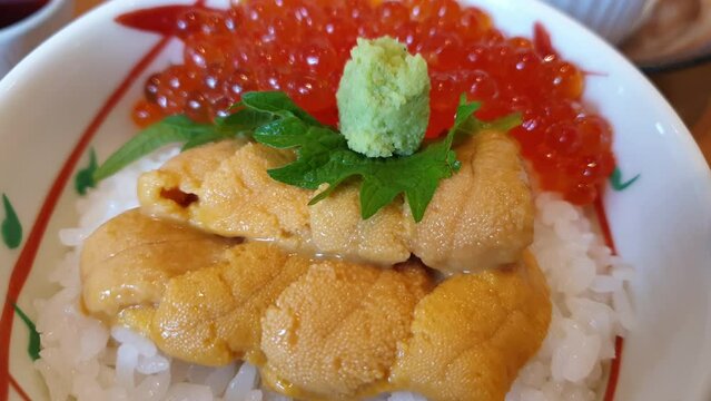Raw creamy Sea urchin and salmon roe over rice donburi Japanese famous Hokkaido seafood food