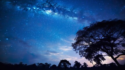 Night sky - Universe filled with stars, nebula and galaxy seen in forest