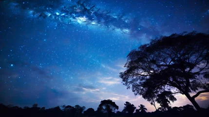 Fototapeten Night sky - Universe filled with stars, nebula and galaxy seen in forest © Damerfie