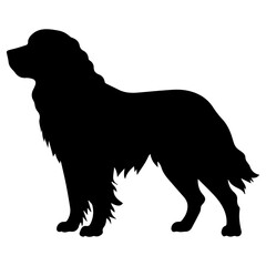 newfoundland Dog Vector Silhouette, Generative AI.