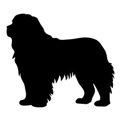 newfoundland Dog Vector Silhouette, Generative AI.