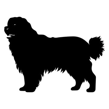 recommend clip art: newfoundland Dog Vector Silhouette, Generative AI.