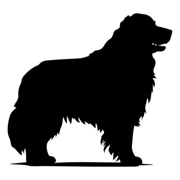 recommend clip art: newfoundland Dog Vector Silhouette, Generative AI.