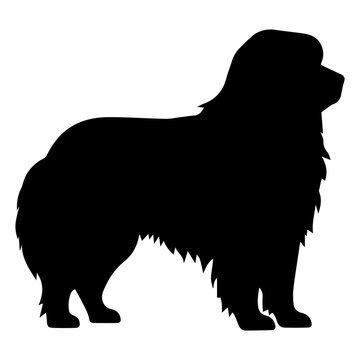 recommend clip art: newfoundland Dog Vector Silhouette, Generative AI.