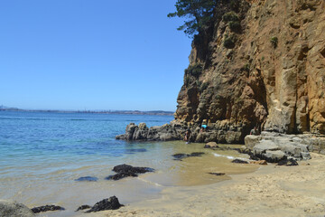 Fototapeta na wymiar a beach and a cliff in southern Chile