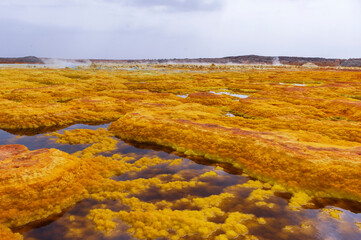 Dallol Volcano, Danakil Ethiopia