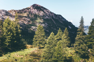 landscape in spring nearby a forest in the apls