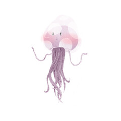 jellyfish in the water