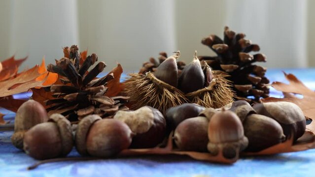 Still Life - Autumn Landscape with Chestnuts, Pine Cones and Leaves
