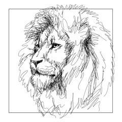 Graphic portrait of a lion in sketch style.