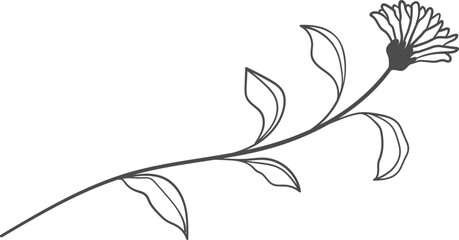 Flower Floral Botanic