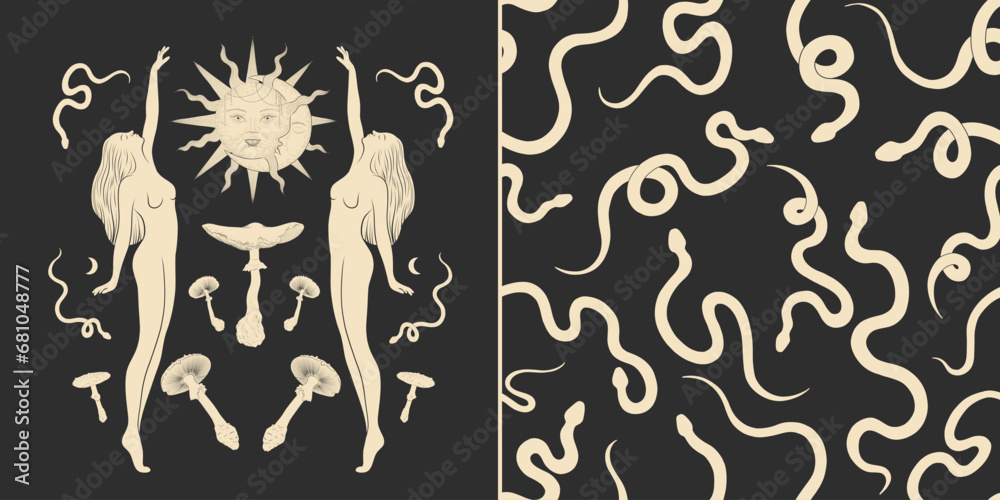 Canvas Prints vector illustration set of moon phases. different stages of moonlight activity in vintage engraving 