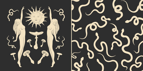 Vector illustration set of moon phases. Different stages of moonlight activity in vintage engraving style. Zodiac Signs