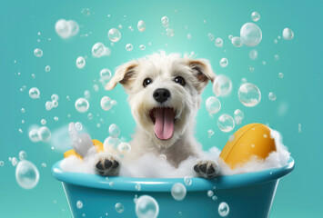 A cute little dog taking a bubble bath with his paws up on bubble the rim of the tub - obrazy, fototapety, plakaty