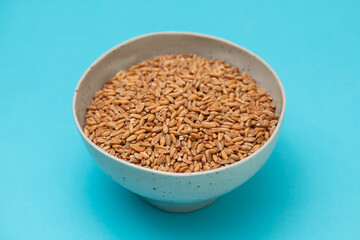 Wholegrain uncooked raw spelt in ceramic bowl