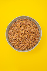 Wholegrain uncooked raw spelt in ceramic bowl