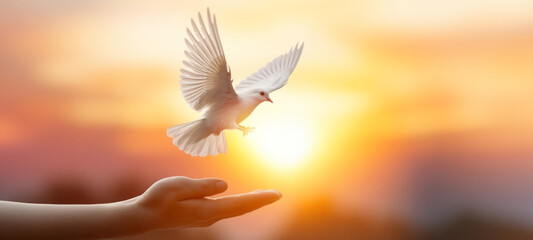 Silhouette pigeon flying out of two hand, Freedom and international day of peace hope concept