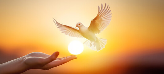Obraz premium Silhouette pigeon flying out of two hand, Freedom and international day of peace hope concept