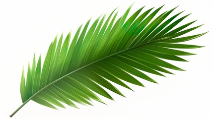 Obraz premium Abstract floral backdrop of colorful flowers for spring or summer time. Banner background