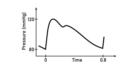 Mean arterial pressure formula. Calculating map. Diastolic blood pressure and systolic blood pressure. Scientific resources for teachers and students. Vector illustration isolated on white background. © SAMYA