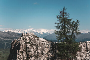 snow covered mountains in the summer landscape