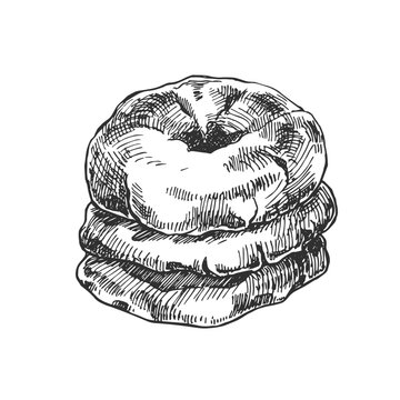 Hand drawn vector ciambelline illustration. Italian traditional sweet dessert. National pastry image
