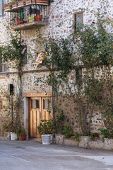 Fototapeta na wymiar Street in Ezcaray in Spain. Brick wall with door and rose bushes.