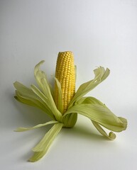 Yellow vegetable seed, sweet whole corn for cooking ingredients, with unique blooming green leaves. Raw food photography isolated on plain background. Jagung kuning manis.