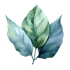 Leaves hand drawn watercolor illustration isolated on transparent background