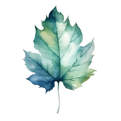 Leaves hand drawn watercolor illustration isolated on transparent background