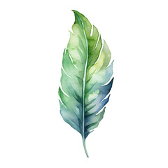 Leaves hand drawn watercolor illustration isolated on transparent background