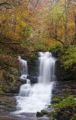 Fototapeta na wymiar Irurrekaeta waterfall, Autumn in the Irurrekaeta waterfall, Arce valley, Navarre