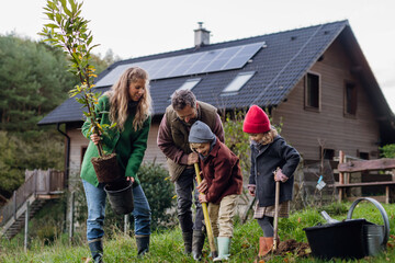 Young family taking care of home garden, planting tree. Mother, father and kids spending time...