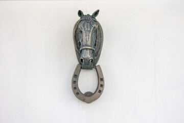 Fototapeta na wymiar Elegant Equine Art: Horse Head and Lucky Horseshoe