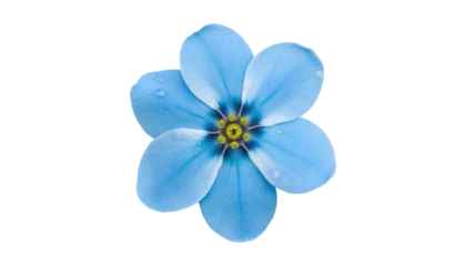Foto op Aluminium blue flower with water drop isolated on transparent background cutout © Papugrat