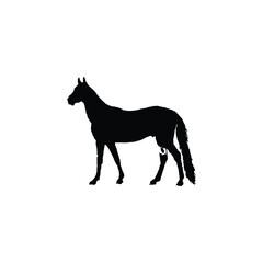 Horse icon. Simple style poster background symbol. Horse brand logo design element. Horse t-shirt printing. vector for sticker.