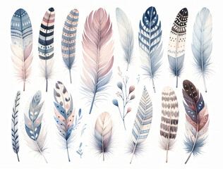 Watercolor a cute bird feathers on white background.