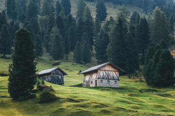 wooden cabins in the mountains by the forest of pines