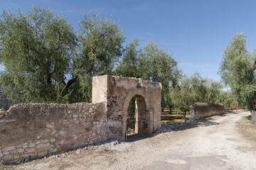 A ruined gate to a property in an olive grove, Apulia, Italy