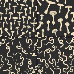 Vector illustration set of moon phases. Different stages of moonlight activity in vintage engraving style. Zodiac Signs