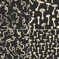 Vector illustration set of moon phases. Different stages of moonlight activity in vintage engraving style. Zodiac Signs