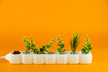 Plants in the white plastic socket on orange background. Copy space.