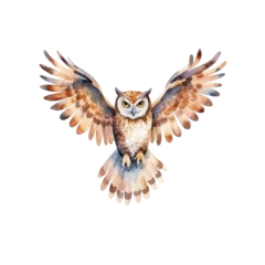 Poster Watercolour paintings of a barn owl isolated on white background as transparent PNG, hand dawn animal clipart 300 DPI © Jo