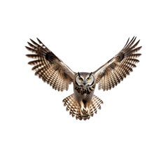 Obraz premium owl isolated on a transparent or white background as PNG clipart 300 DPI
