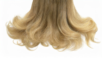Naklejka premium long blonde human dark hair isolated on white background