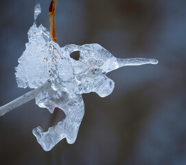 Ice crystals, Elephant crystal