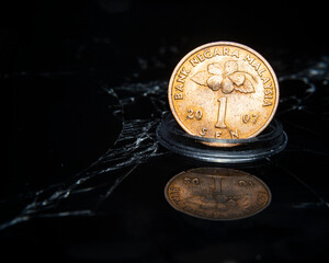 Malaysian ringgit coin, one sen isolated  © Iva