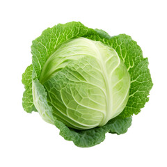 A cabbage on a transparent background png isolated Generative Ai