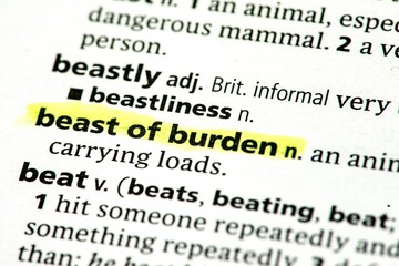beast of burden
